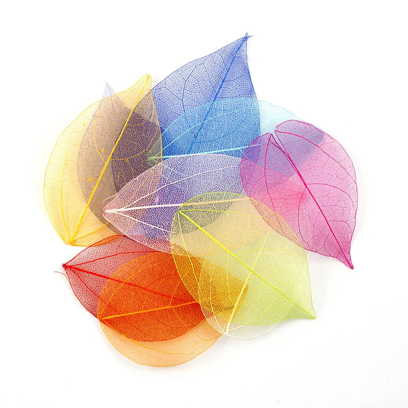 Dried Flowers Natural Skeleton Leaf Vein DIY Handmade Materials Nail Art Flowers Material for Wedding Party Home Decor-20/24pcs