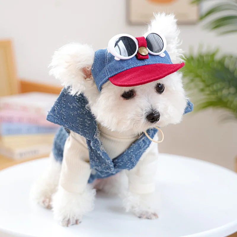 Denim Cap For Dogs With Sunglass Pet Grooming Accessories Hat For Small Medium Puppy Animal Cat Dachshund Yorkshire Things Goods