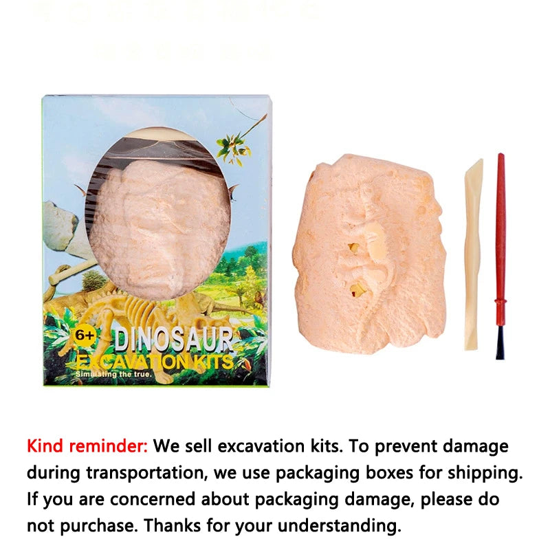 1Pcs Dinosaur Fossil Excavation Kit STEM Educational DIY Skeleton Digging Toy Archaeological Assembly Model for Science Learning