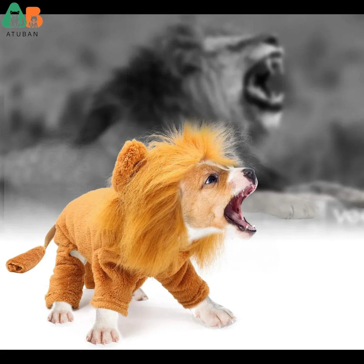 ATUBAN Funny Lion Costume Dog Warm Outfit Pet Halloween Cosplay Clothes Party Dress for Small Medium Large Dogs