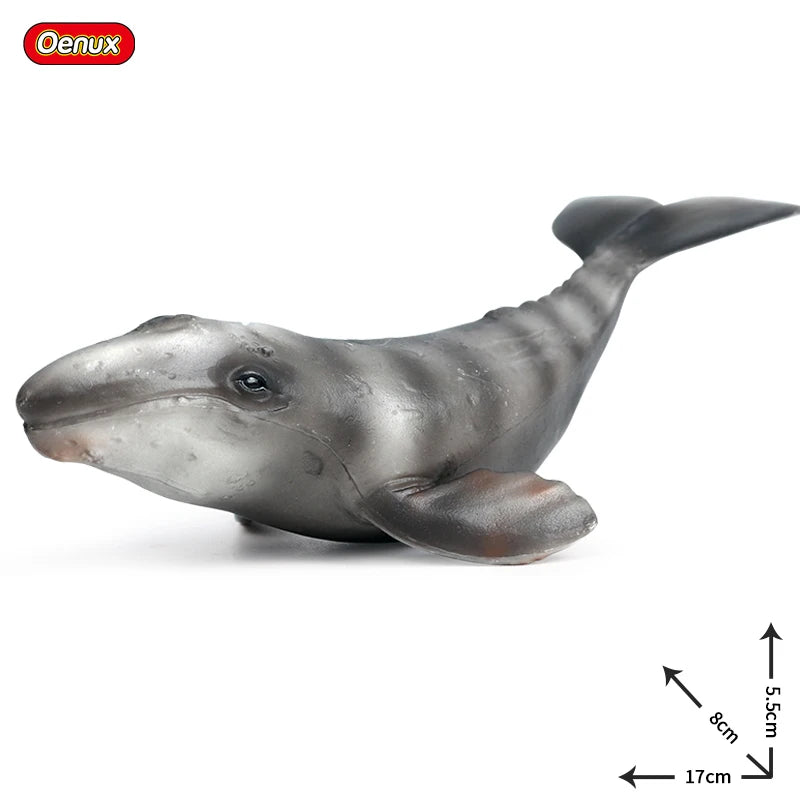Oenux Ocean Animals Action Figures Sealife Shark Whare Megalodon Model Figurines PVC Home Decoration Kid Cognitive Education Toy