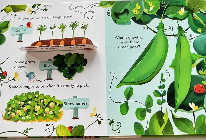 Usborne Peep Inside The Farm 3D Flap Montessori English Books for Kids Reading Natural Knowledge Picture Book