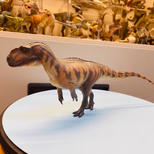 Yangchuanosaurus magus Roc Dinosaur King Growth Companion Model 76 Holiday Gift Collection Ornament Dinosaur Model Toy Figurine