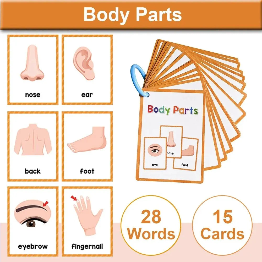 Montessori Kids Learning English Words Cards Kindergarten Teacher Early Education Teaching Aids Vocabulary Classroom Supplies