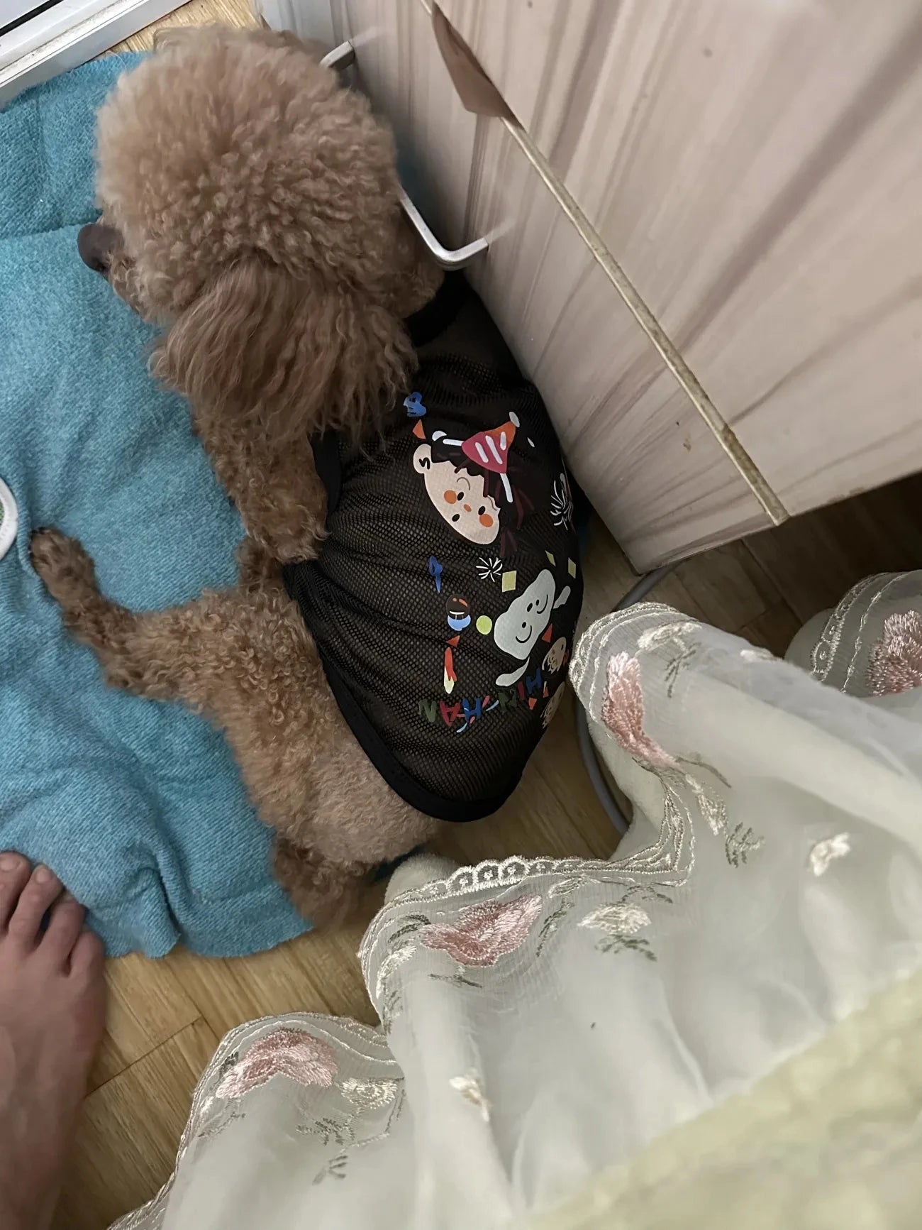 Cartoon Mesh Dog Vest Breathable Summer Pet Clothes for Small Dog Cat Chihuahua Yorkshire T-Shirt Puppy Sleeveless Cooling Shirt