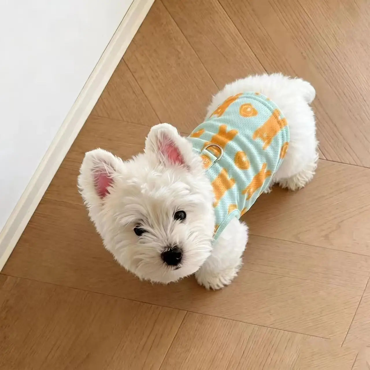 2Pcs Summer Dog Cooling Clothes Set - Cartoon Print Vest with Sun Hat, Breathable Sun Protection Lightweight Quick-Dry Pet Outfi