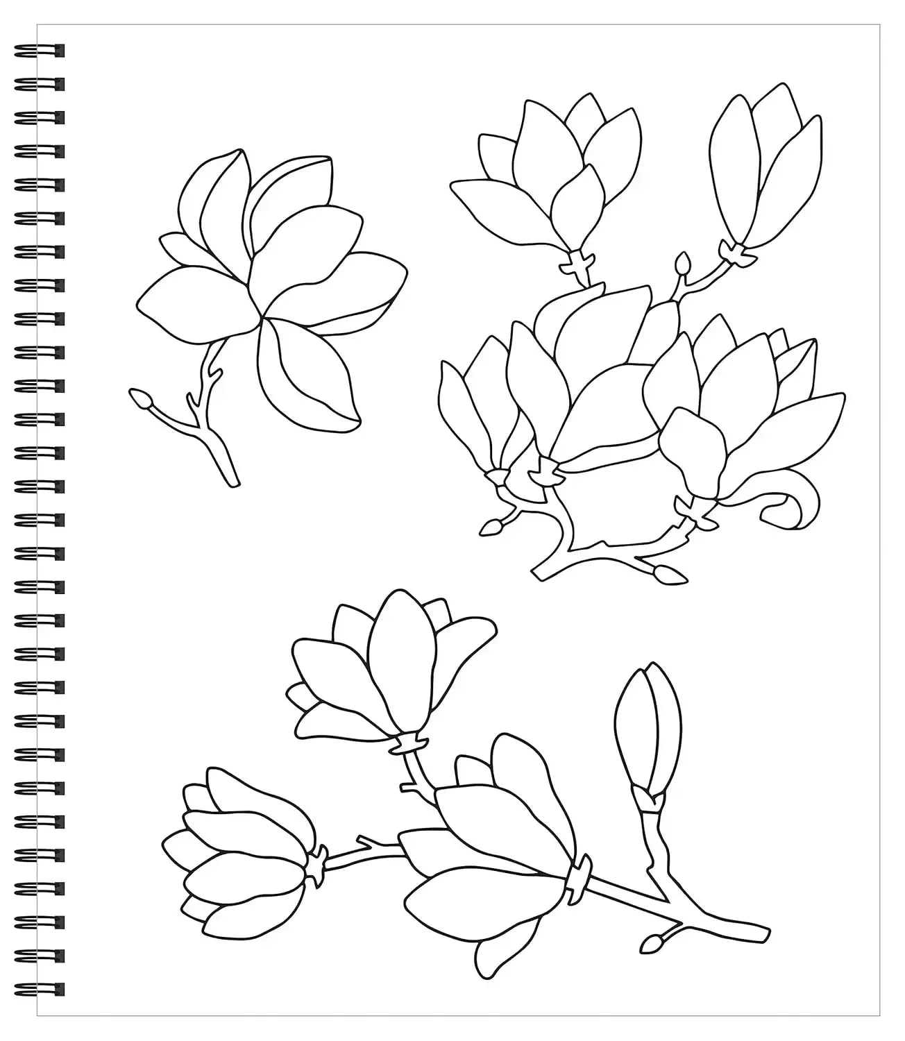 Large Print Easy Color & Frame - Calm (Stress Free Coloring Book)