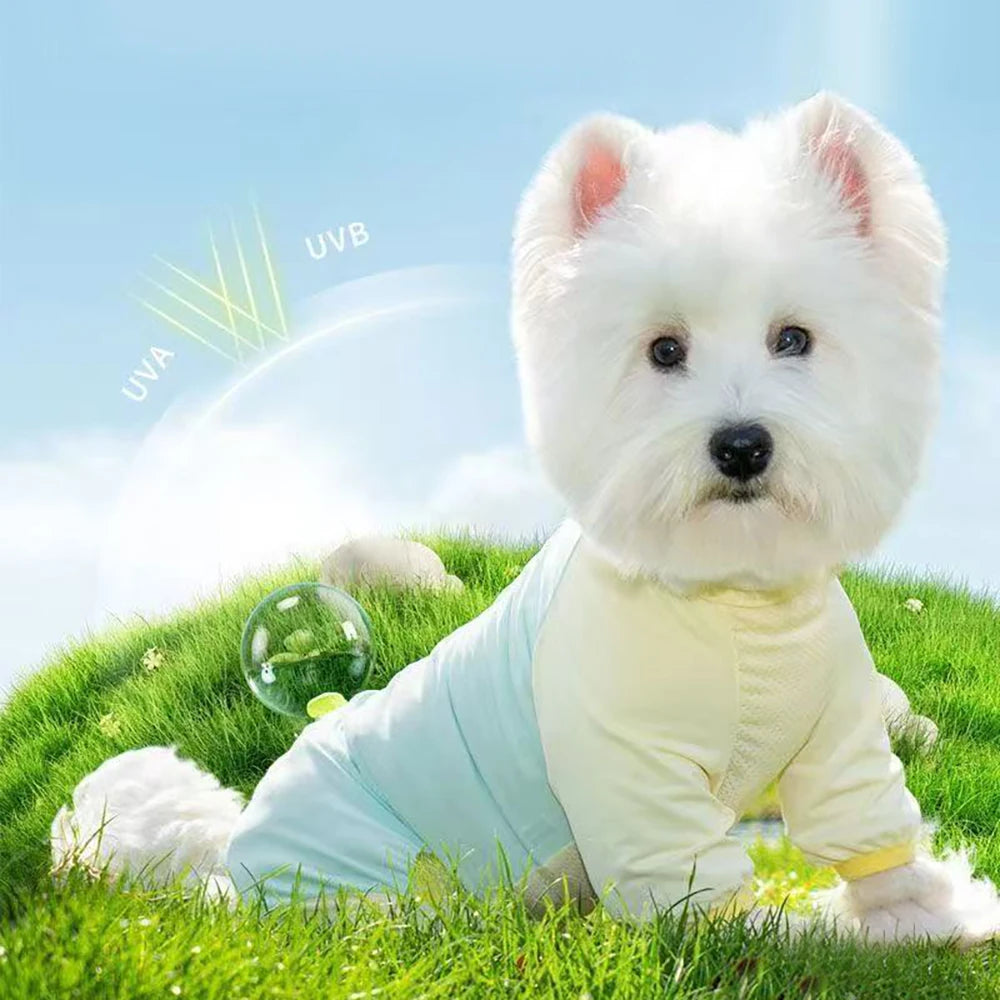Dog Cooling Clothes  Vest UV Sun Protection Breathable Mesh Jacket, Small Medium  Dogs, Summer Wear Outdoor Cooling Suits