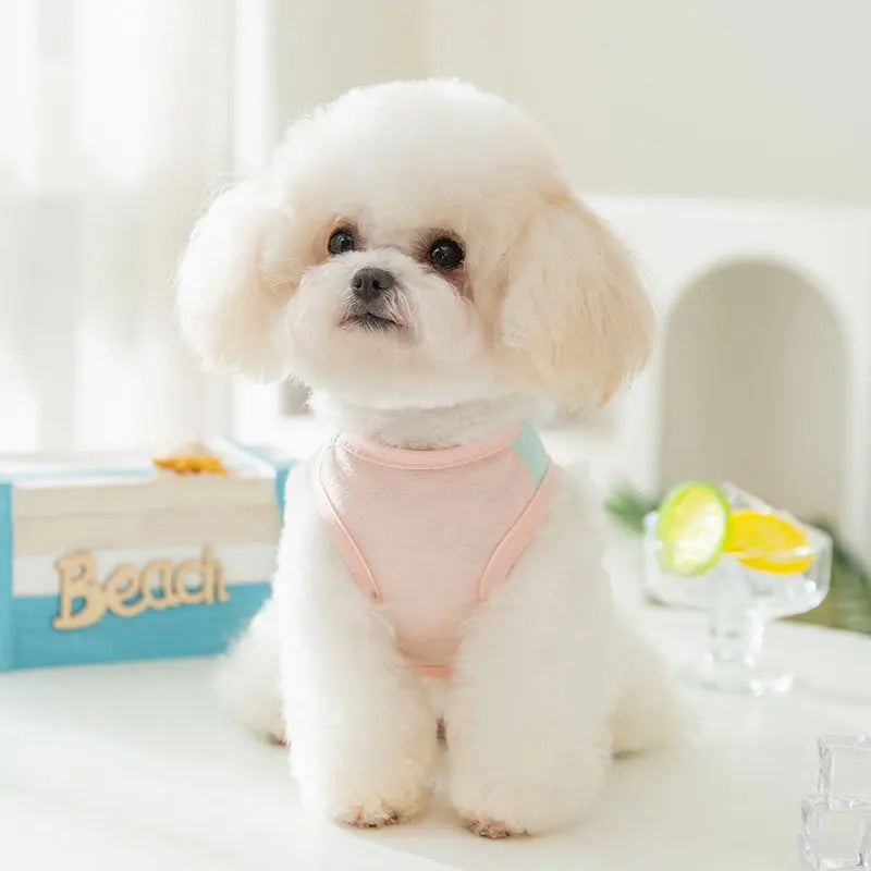 Summer Pet Dog Cooling Vest Ice Silk Breathable Quick Drying Small Dog Clothes Summer Mesh Vest Puppy Chihuahua Pet Clothing