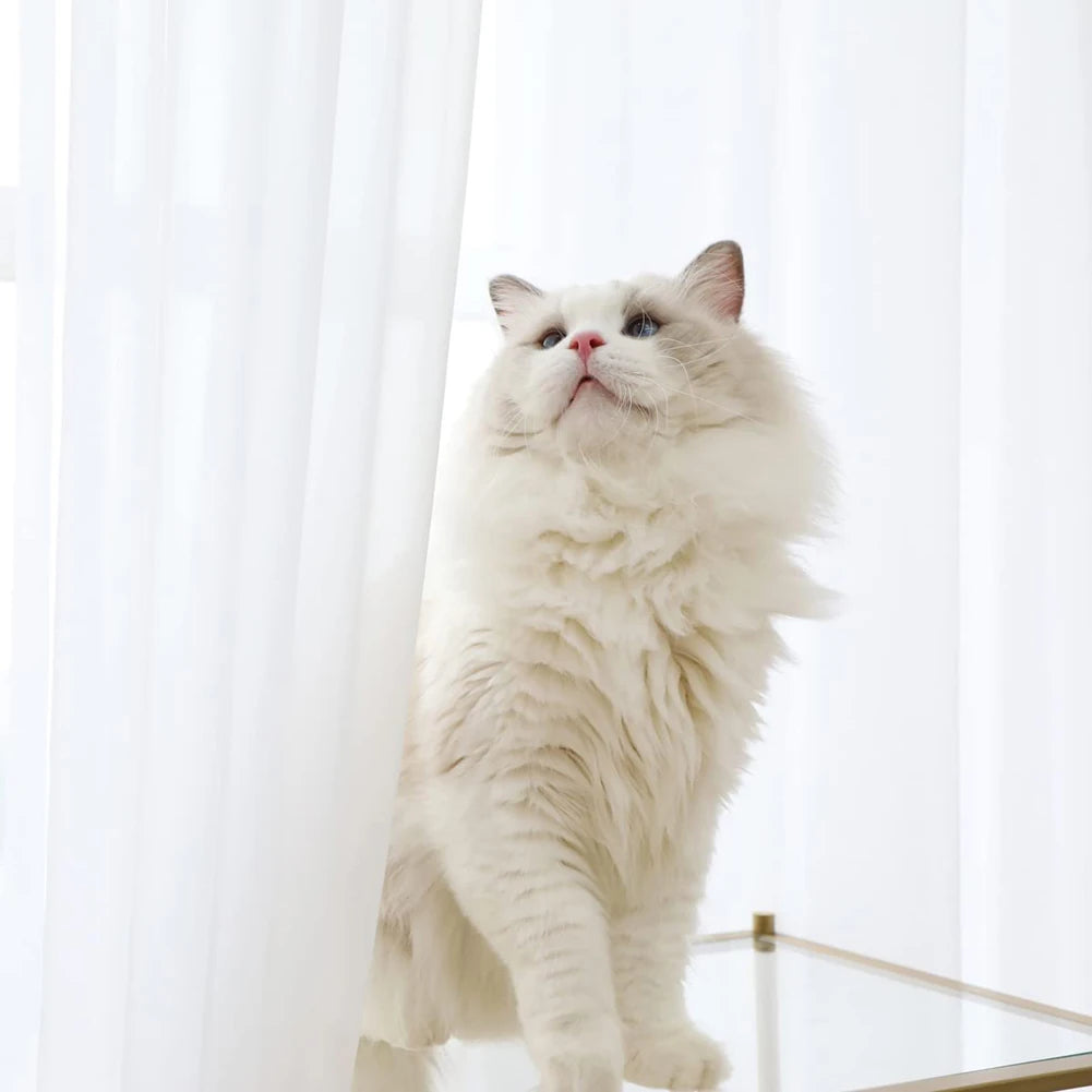 White Sheer Curtains Home Decoration Grommet/Rod Pocket Semi Tulle Window Treatments for Bedroom/Living Room
