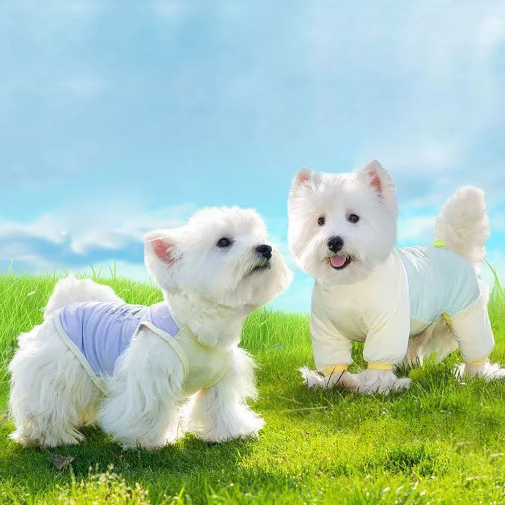 Dog Cooling Clothes  Vest UV Sun Protection Breathable Mesh Jacket, Small Medium  Dogs, Summer Wear Outdoor Cooling Suits