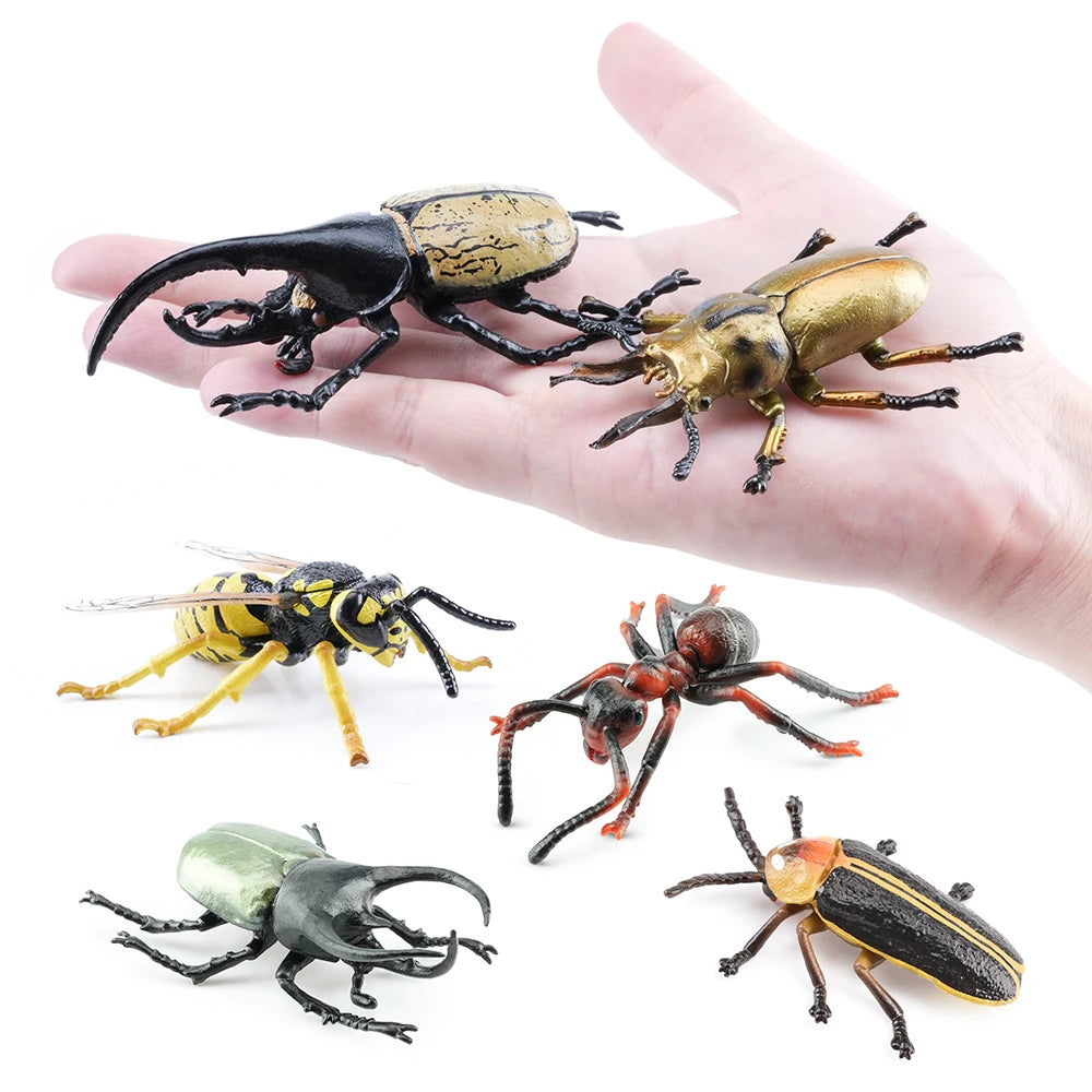 Toymany Simulation Insect & Beetle Animal Model Toy Mini Figures Dolls Action Figurines 12pcs Set Toys Children Gift Cake Decor
