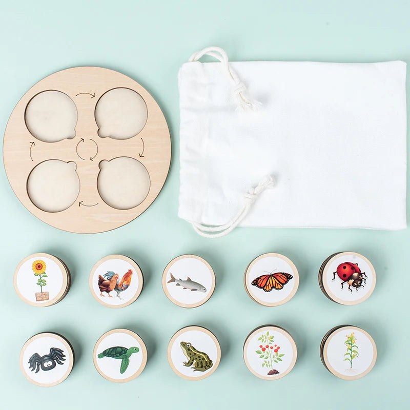 Life Cycle Board Montessori Kit Biology Science Education For Kids Sensory Tray Animal Figure Life Cycle Sorting Christmas gift
