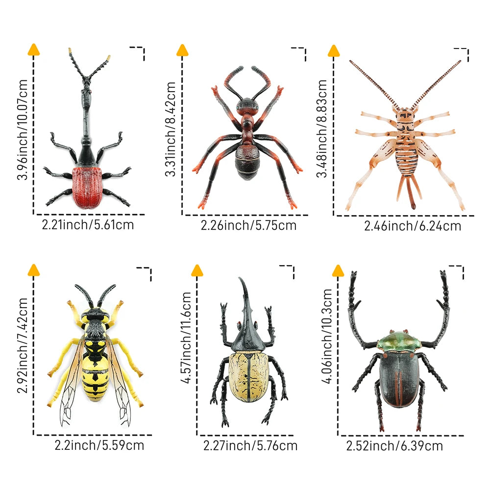 Toymany Simulation Insect & Beetle Animal Model Toy Mini Figures Dolls Action Figurines 12pcs Set Toys Children Gift Cake Decor