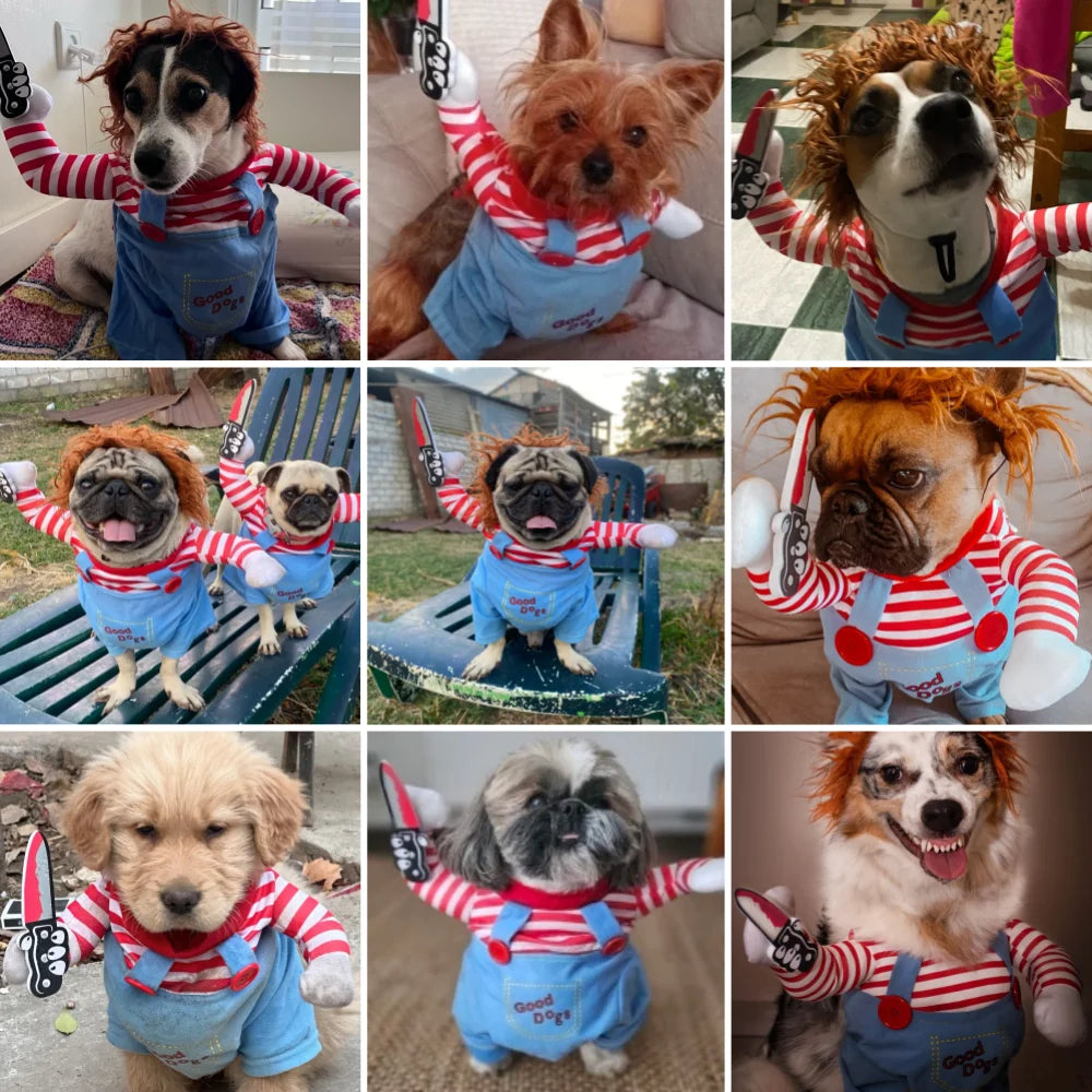 Funny Pet Costume Pullover for Dogs & Cats – Halloween Outfit in Blue or Pink, XS–XL