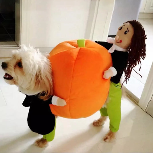 Pumpkin Pet Costume Set – 15 Funny Halloween Styles for Dogs & Cats, S–XL