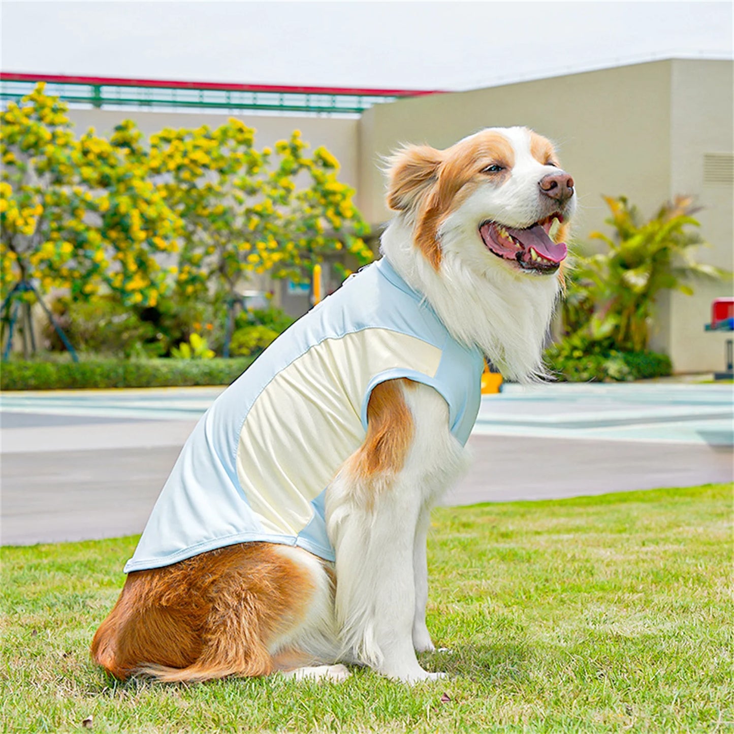 Cute Mesh Vest Pet Clothes 2026 New Ice Silk Cooling Puppy Vest Quick Drying Summer Pet Costume Large Size Splicing Clothes