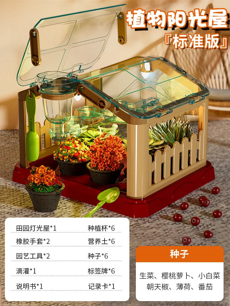Kids Greenhouse Toy Plant Growing Kit With Tools Soil Observation Box STEM Education Science Experiment Kindergarten Home Garden