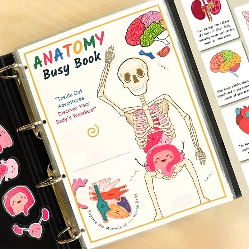 Interactive Human Anatomy Busy Book with Labeled Organs 500 Body Facts Educational Learning Activity Gift for Students