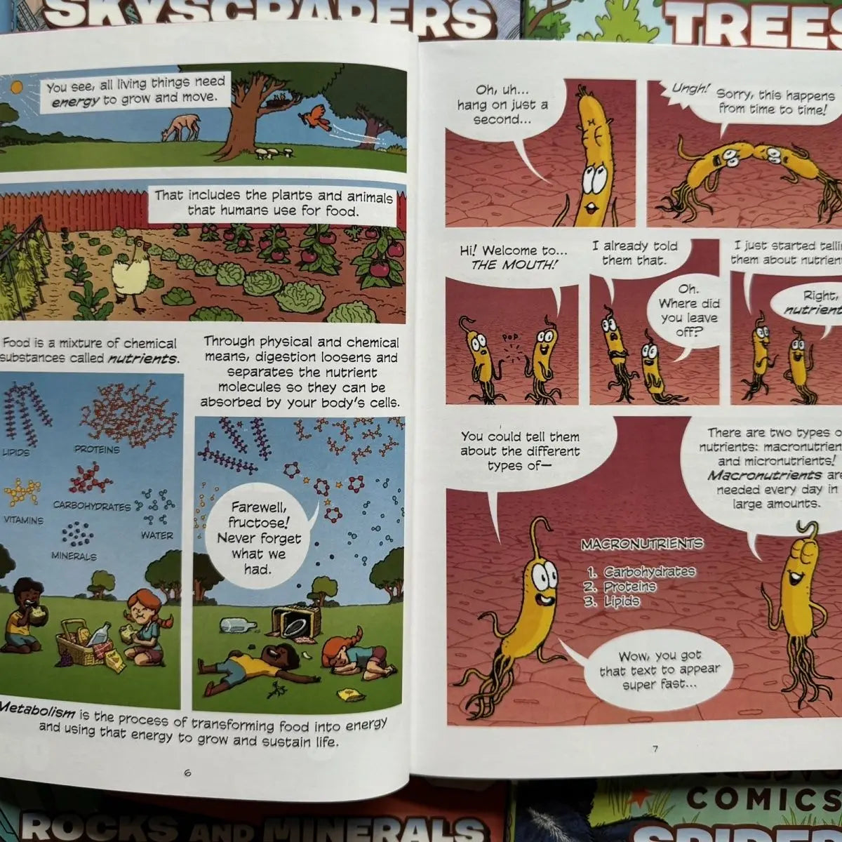 The Latest 30 Volumes of Science Comics Children's Exploration of Cognitive STEM Nature Popularization