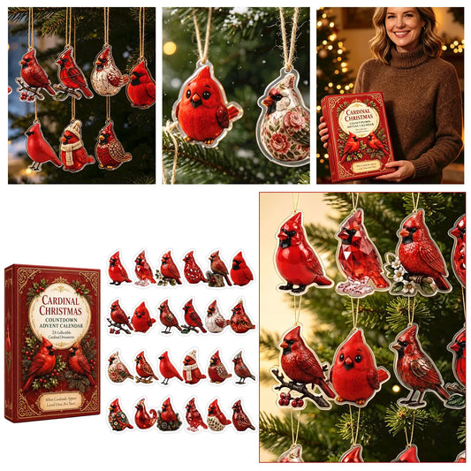 Collectible Countdown Advent Calendar for Women – Holiday Gift for Adults
