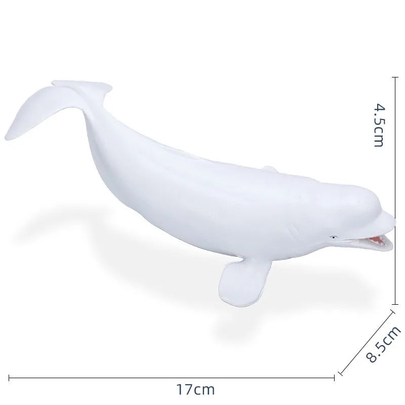 14-22CM Ocean Animals Action Figures Sealife Shark Whare Megalodon Models Figurines PVC Home Decoration Kids Education Toys Gift