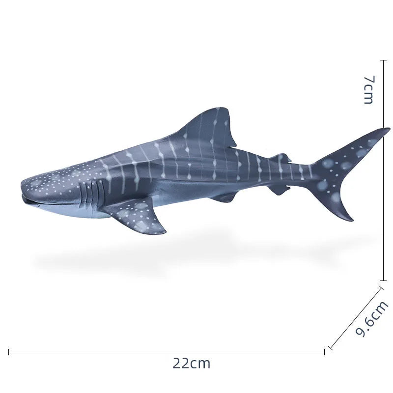 14-22CM Ocean Animals Action Figures Sealife Shark Whare Megalodon Models Figurines PVC Home Decoration Kids Education Toys Gift