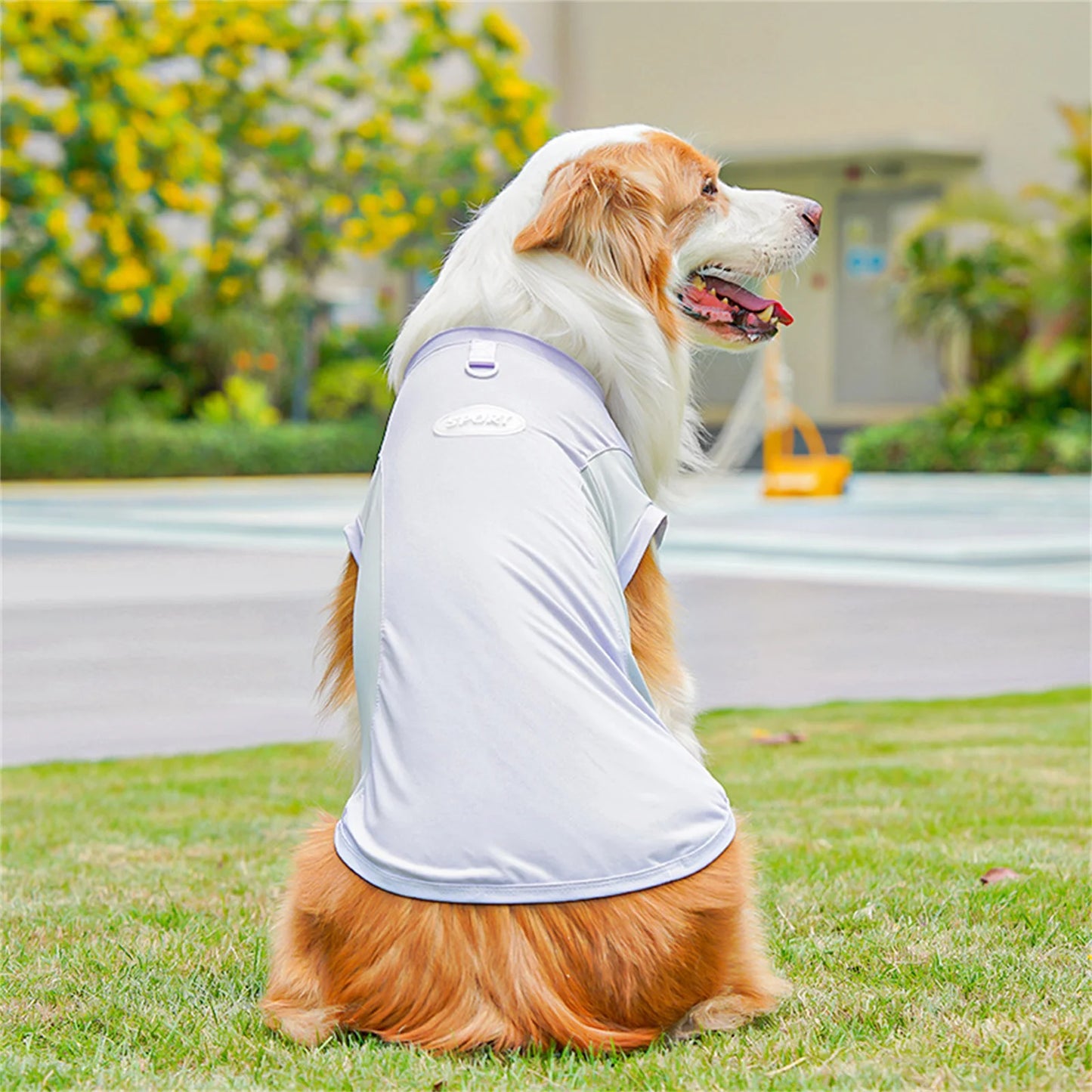 Cute Mesh Vest Pet Clothes 2026 New Ice Silk Cooling Puppy Vest Quick Drying Summer Pet Costume Large Size Splicing Clothes