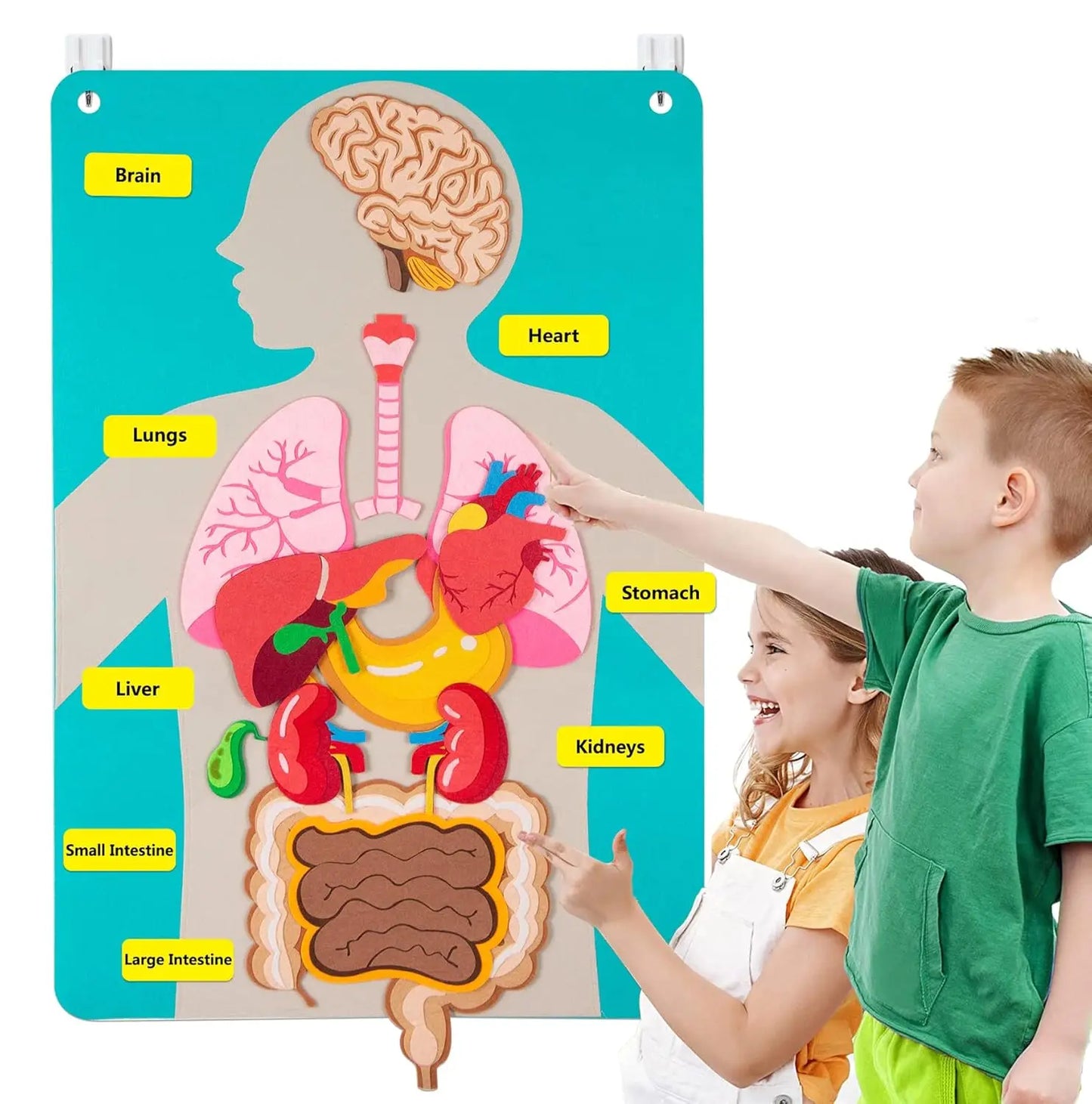 Human Body Parts Felt Board Stories for Kids Montessori Toys Sensory Activities Teaching Daycare Preschool Learning Educational