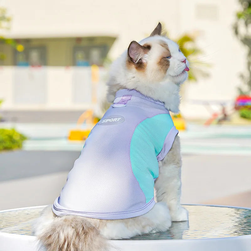 Summer Cooling Vest Thin Pet Dog Clothes Breathable Mesh Dog T Shirt Chihuahua Bichon Dog Clothing Cat Vests Puppy Undershirts