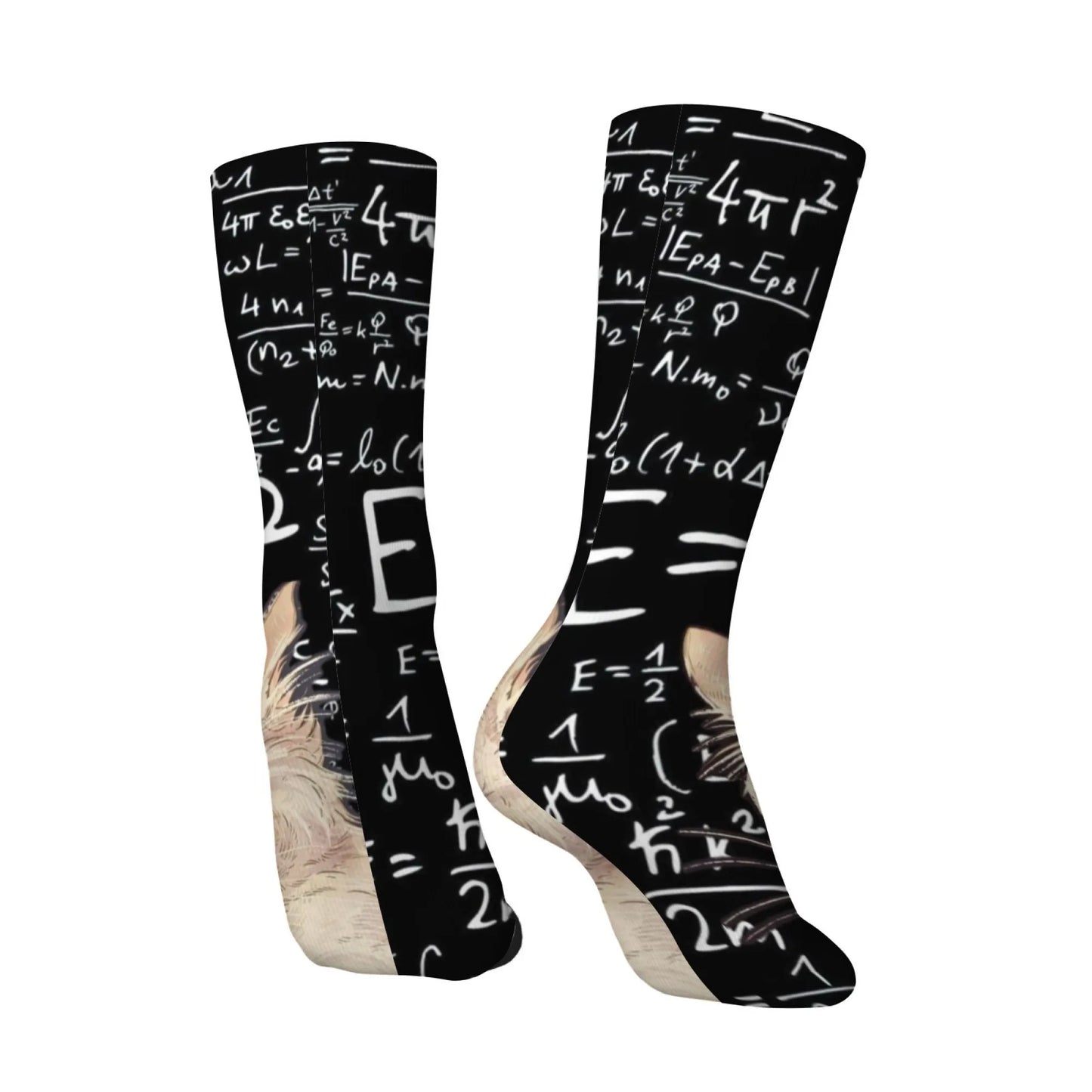 Schrödinger's Cat Science Formula Theme Print Men's Mid-Calf Socks Black Cute Funny Novel Hardcore STEM Style Student Socks