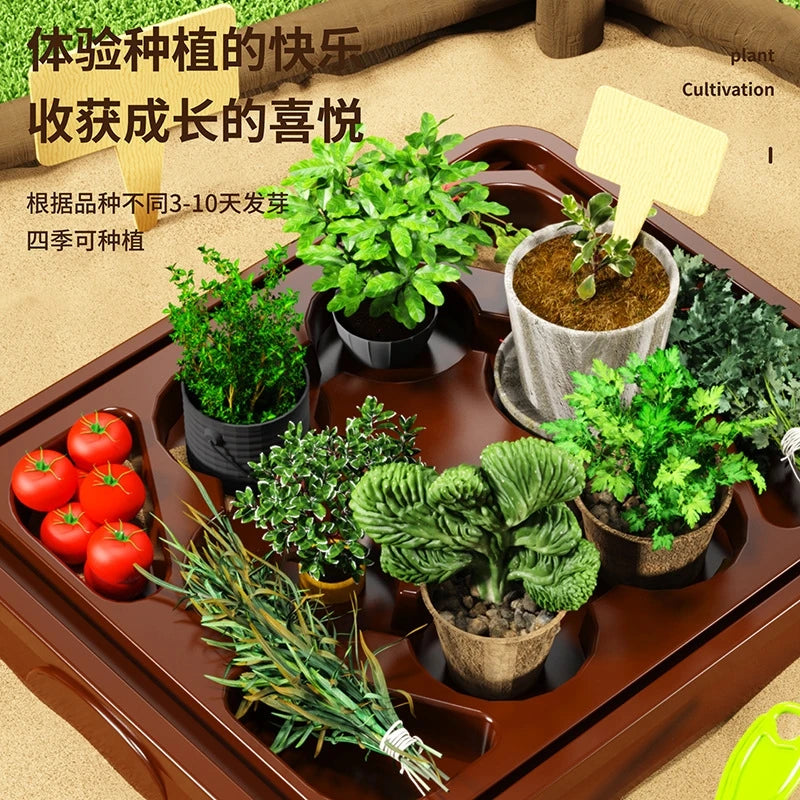 Kids Greenhouse Toy Plant Growing Kit With Tools Soil Observation Box STEM Education Science Experiment Kindergarten Home Garden