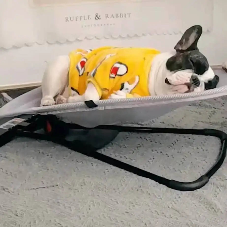 summer Foldable Rocking Chair for Pets, Sleeping Sofa, Breathable Bed, Adjustable Outdoor Play, Rest Swing, Small Pet Supplies