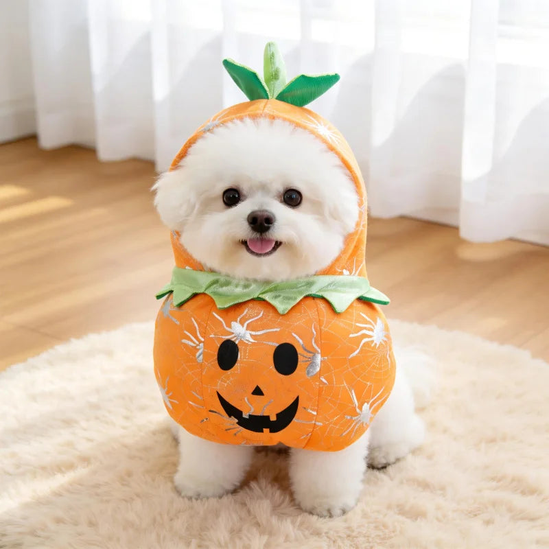 Cross-border pet clothing funny  transformation costume Halloween outfit