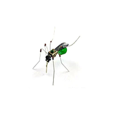 STEAM DIY Robotic Insects Science Invention Electronic Animal for School Competition Non-soldered DIY Kit Stem Toys Robot Animal