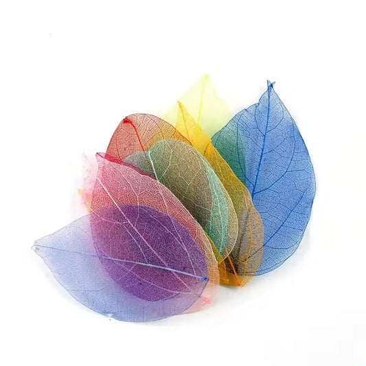 Dried Flowers Natural Skeleton Leaf Vein DIY Handmade Materials Nail Art Flowers Material for Wedding Party Home Decor-20/24pcs