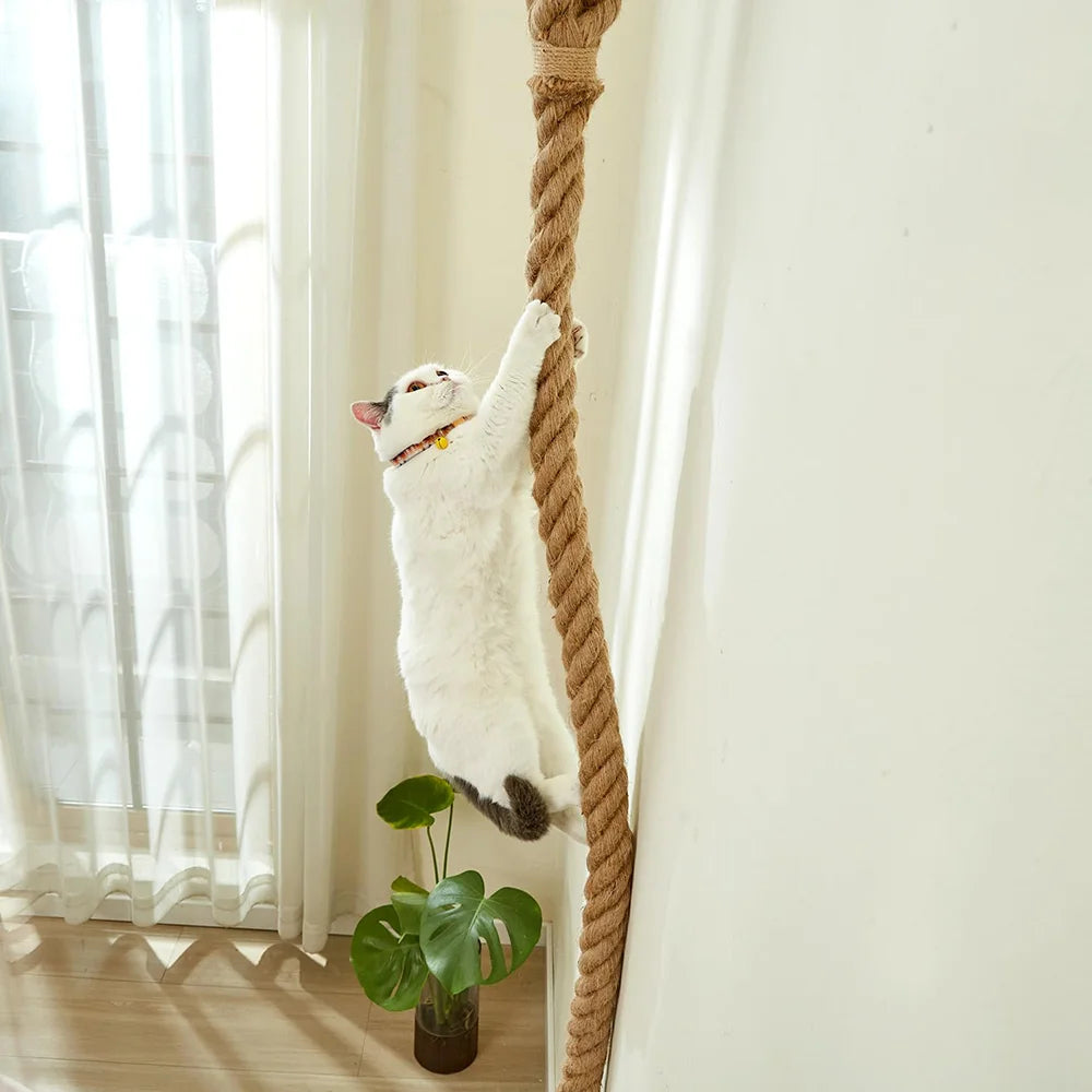 Cat climbing rope with hook ceiling wall mounted kitten scratching post climbing rope toy, suitable for indoor and outdoor cats