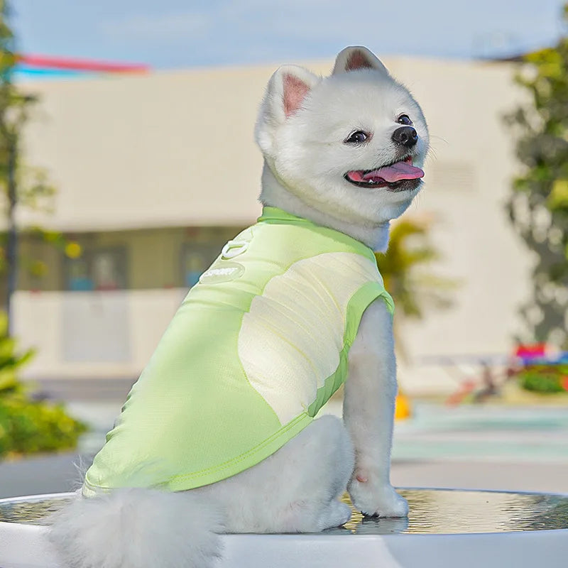 Summer Cooling Vest Thin Pet Dog Clothes Breathable Mesh Dog T Shirt Chihuahua Bichon Dog Clothing Cat Vests Puppy Undershirts