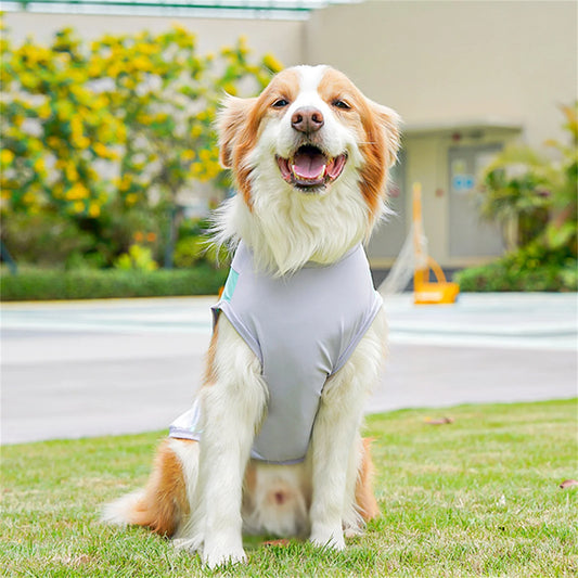 Cute Mesh Vest Pet Clothes 2026 New Ice Silk Cooling Puppy Vest Quick Drying Summer Pet Costume Large Size Splicing Clothes