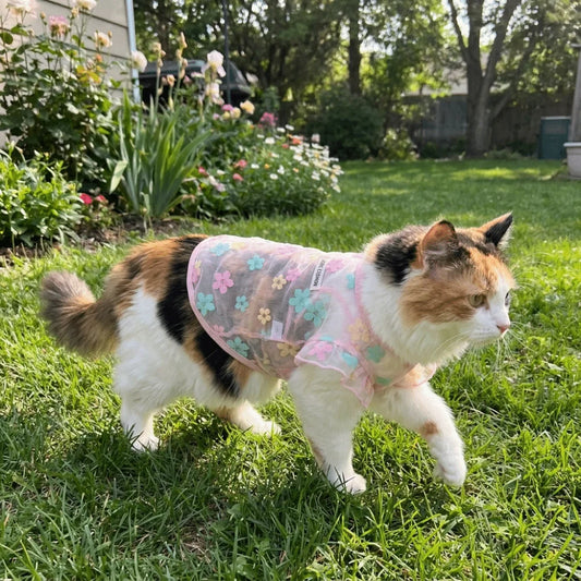 Thin Breathable Cooling Dog Vest Flying Sleeves Sunproof Cat Mesh T Shirt Lightweight Floral Print Dog Sunscreen Clothing Summer