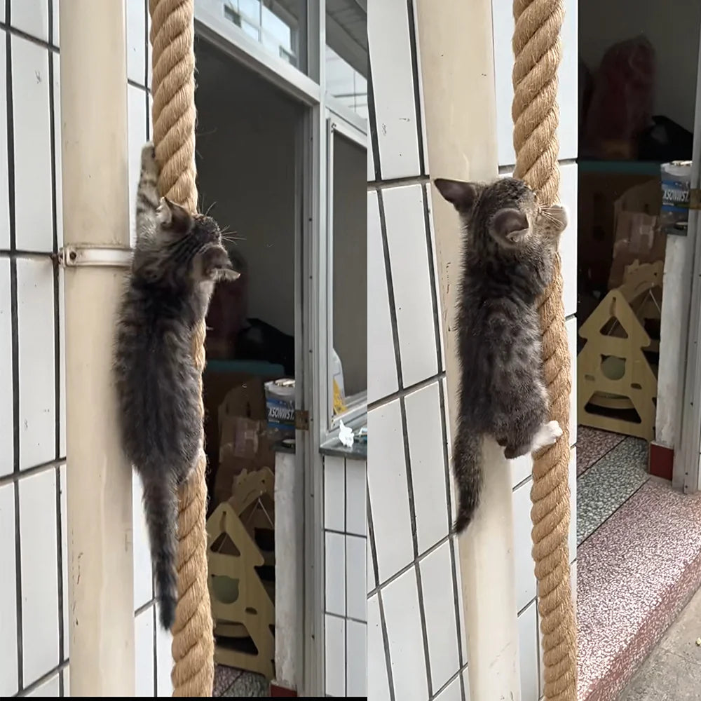 Cat climbing rope with hook ceiling wall mounted kitten scratching post climbing rope toy, suitable for indoor and outdoor cats