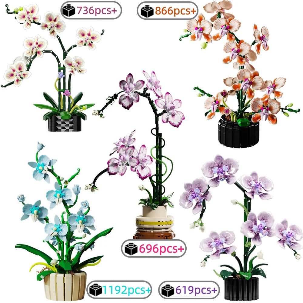 STEM Creative Orchid Set Eternal Flowers Potted Plant Building Blocks DIY Phalaenopsis Bricks Toy Valentine's Gift For Girls Kid