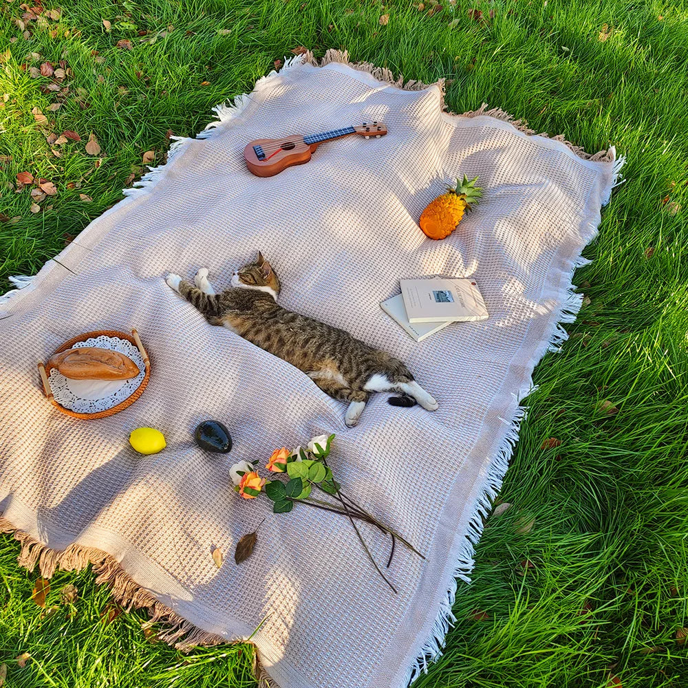 1pc Ins style Picnic Blanket, Beach Blanket, Soft & Foldable Outdoor Mat - Essential for Spring and Summer Camping, Parties
