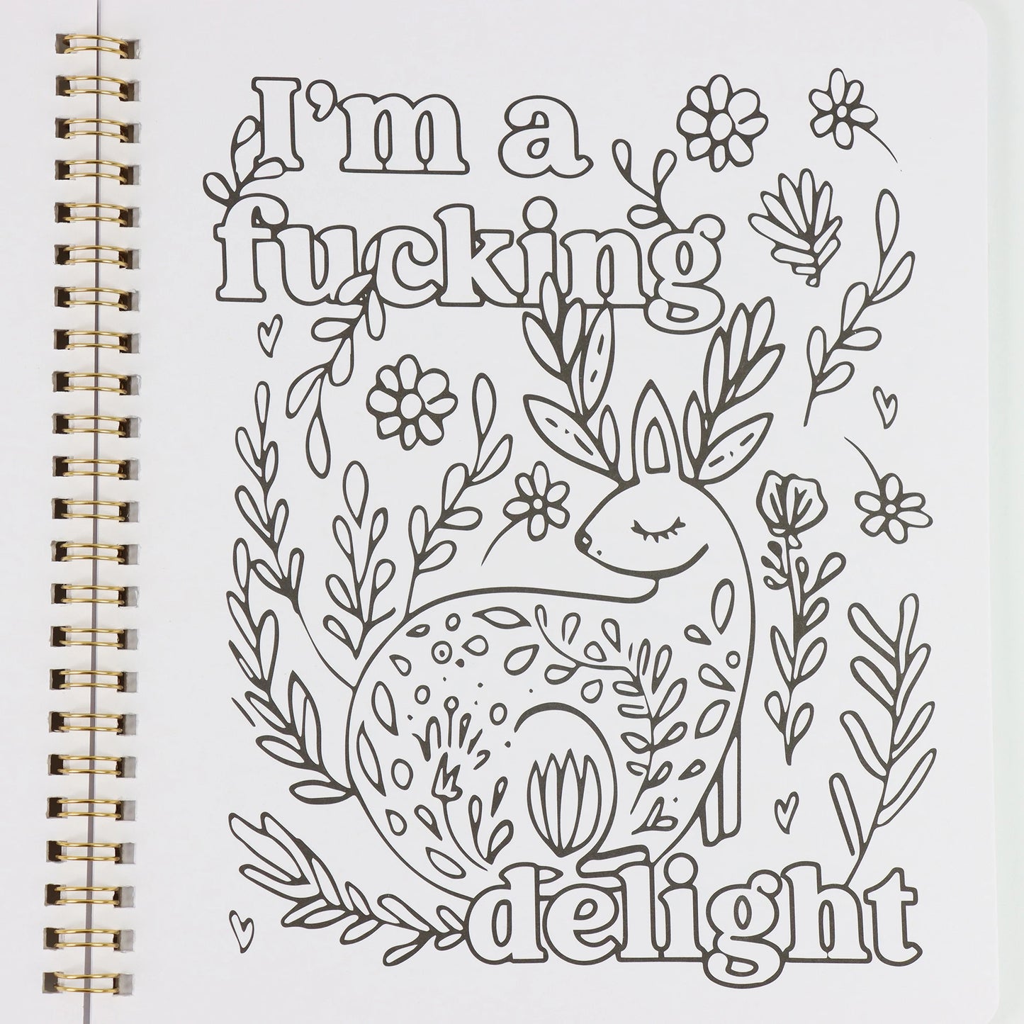Beautiful Adult Coloring Book For Relaxation Funny Dirty Talk Coloring Book With Floral And Animal Patterns 31 Individual Pages