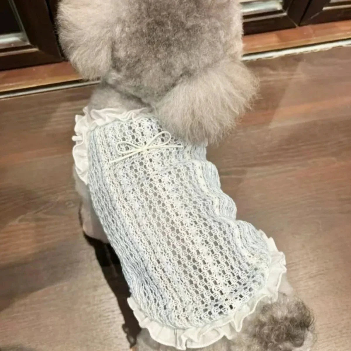Summer Clothes for Cat Dog Vest Mesh Dog Clothes for Small Dog Sleeveless Summer Cat Clothes Cooling PuppyPet Chihuahua Teddy