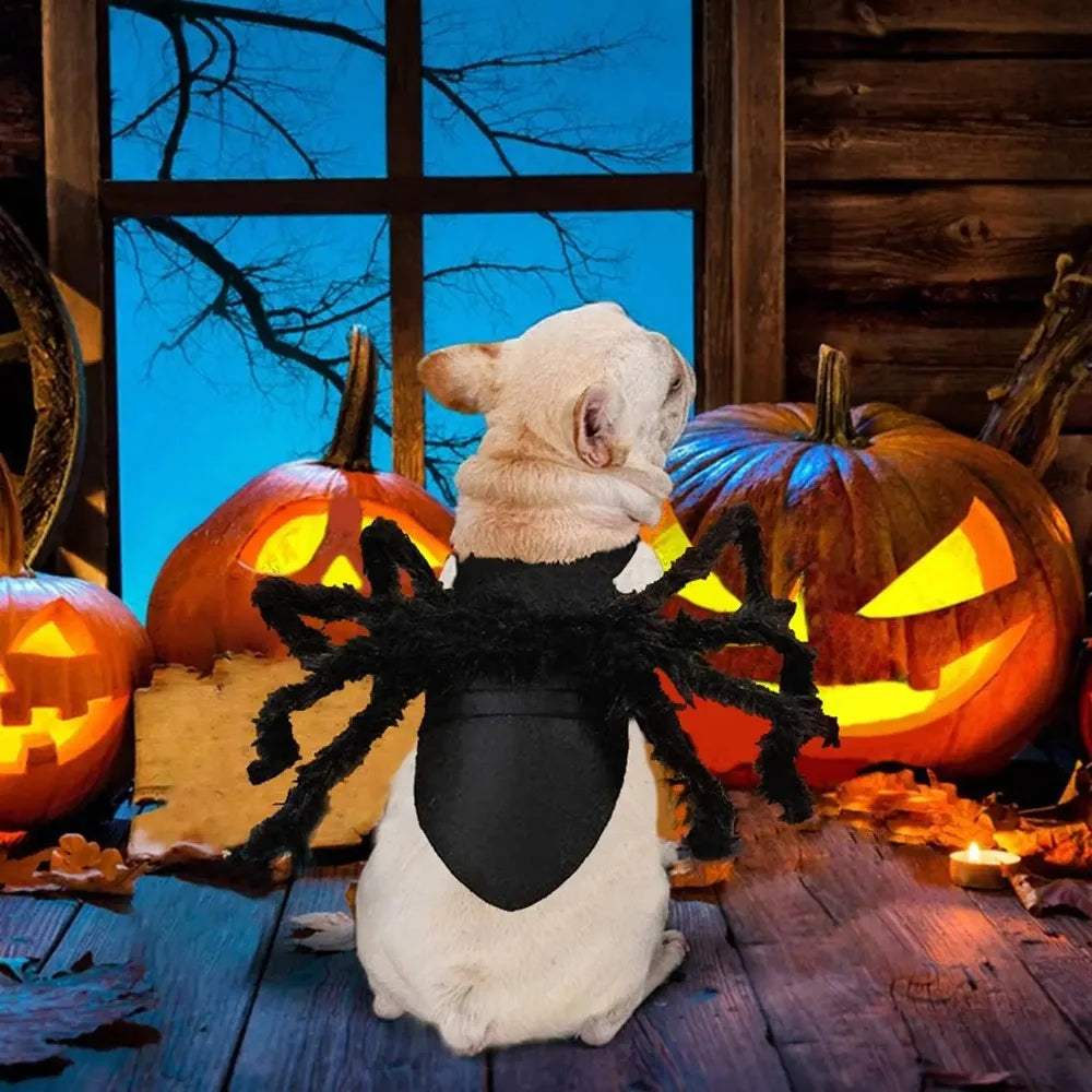 Halloween Pet Spider Costume for Dogs Cats Cute Cosplay Outfit Adjustable Velcro Funny Party Decor Supplies for Small Medium Pet