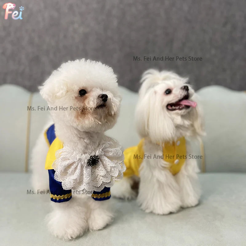 Beauty and Beast Themed Dog Couple Costume | Halloween Prince Princess Dog Outfit for Large Dogs, Cats, Custom Pet Clothes