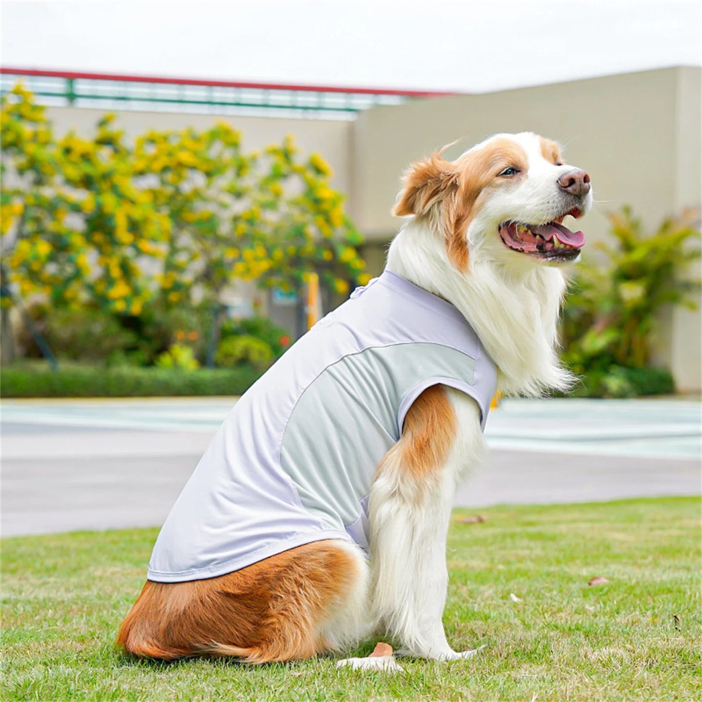 Cute Mesh Vest Pet Clothes 2026 New Ice Silk Cooling Puppy Vest Quick Drying Summer Pet Costume Large Size Splicing Clothes