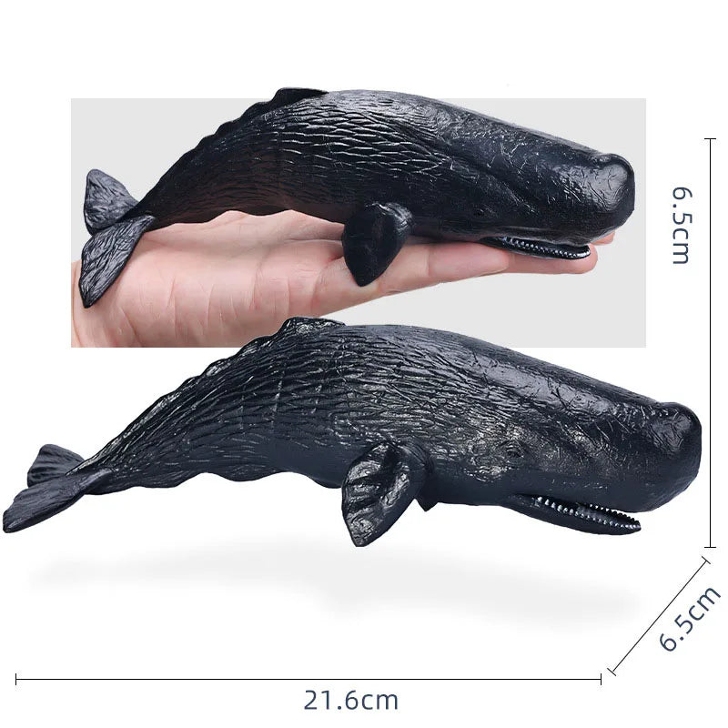14-22CM Ocean Animals Action Figures Sealife Shark Whare Megalodon Models Figurines PVC Home Decoration Kids Education Toys Gift
