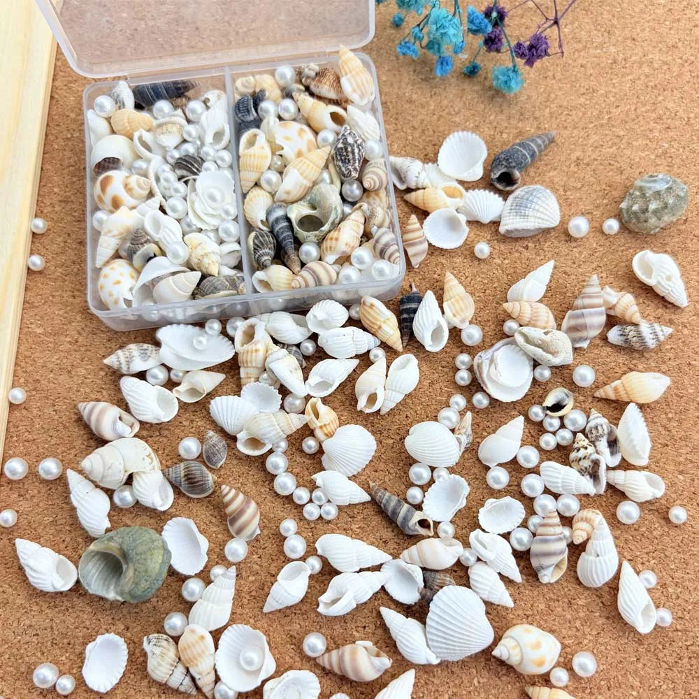 1/2 Boxs Natural Mixed Seashells Ocean Pearls Seashells Beach Decor Crafts for Arts & Crafts Projects Home Decor